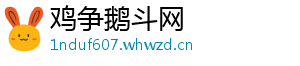 鸡争鹅斗网